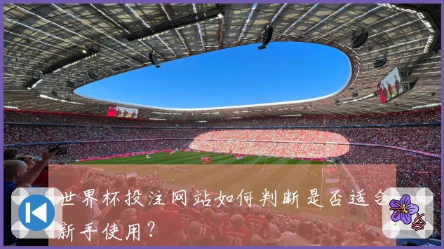 世界杯投注网站如何判断是否适合新手使用？