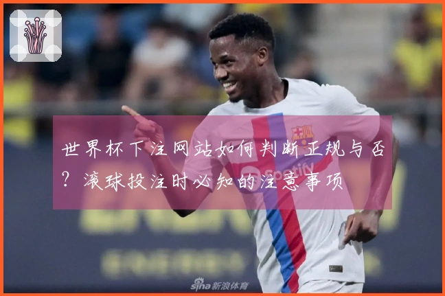 世界杯下注网站如何判断正规与否？滚球投注时必知的注意事项