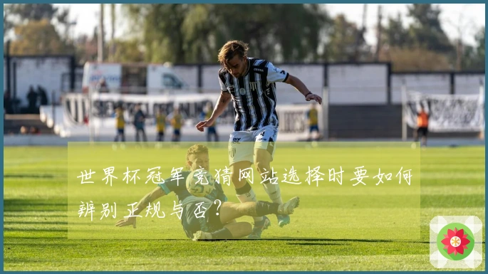 世界杯冠军竞猜网站选择时要如何辨别正规与否？