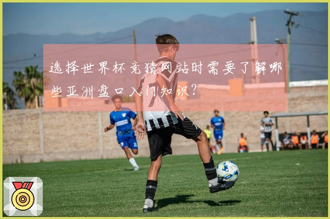 选择世界杯竞猜网站时需要了解哪些亚洲盘口入门知识？