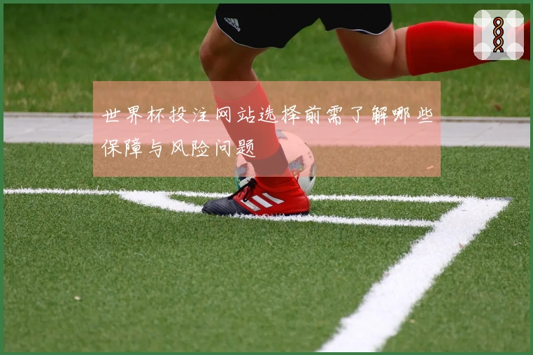 世界杯投注网站选择前需了解哪些保障与风险问题