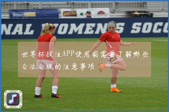世界杯投注APP使用前需要了解哪些合法合规的注意事项