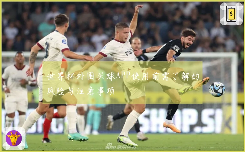世界杯外围买球APP使用前需了解的风险与注意事项