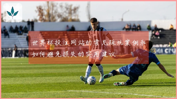 世界杯投注网站的常见踩坑案例和如何避免损失的实用建议