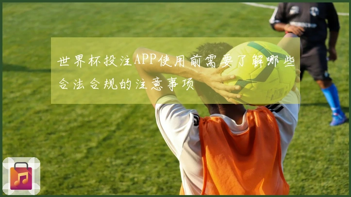 世界杯投注APP使用前需要了解哪些合法合规的注意事项