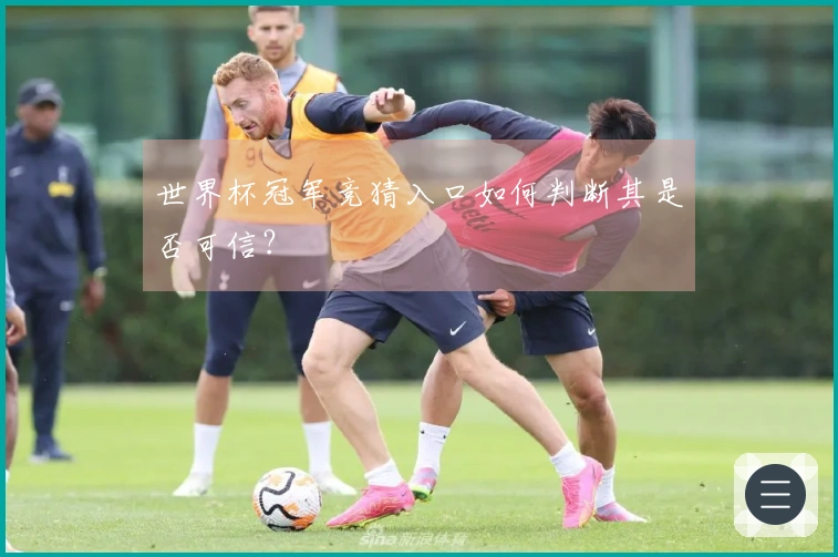 世界杯冠军竞猜入口如何判断其是否可信？