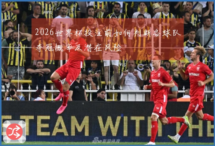 2026世界杯投注前如何判断各球队夺冠概率及潜在风险