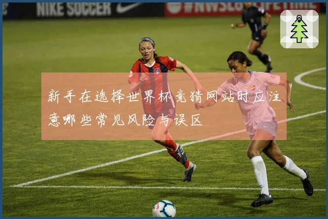 新手在选择世界杯竞猜网站时应注意哪些常见风险与误区