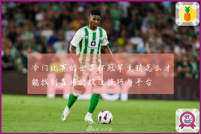 冷门比赛的世界杯冠军竞猜怎么才能找到靠谱的投注技巧与平台