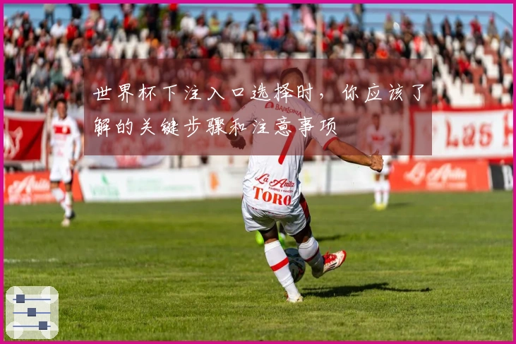 世界杯下注入口选择时，你应该了解的关键步骤和注意事项