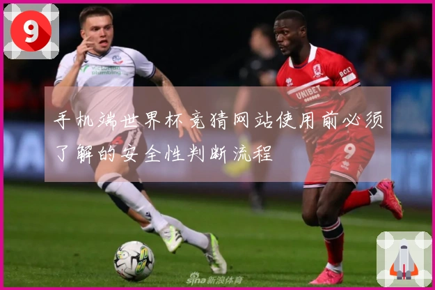 手机端世界杯竞猜网站使用前必须了解的安全性判断流程