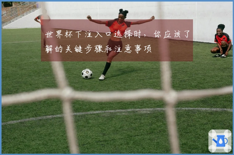 世界杯下注入口选择时，你应该了解的关键步骤和注意事项