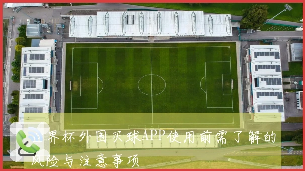 世界杯外围买球APP使用前需了解的风险与注意事项