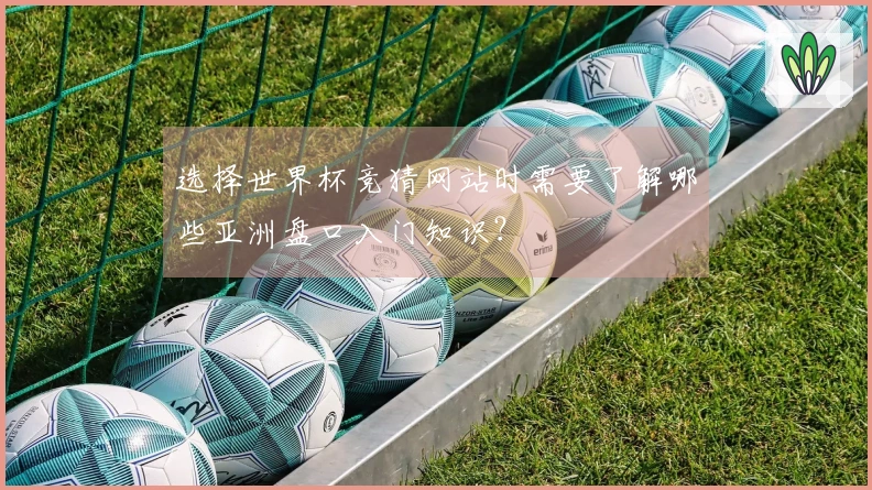 选择世界杯竞猜网站时需要了解哪些亚洲盘口入门知识？