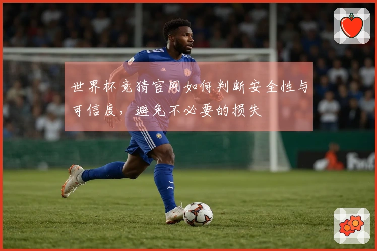 世界杯竞猜官网如何判断安全性与可信度，避免不必要的损失