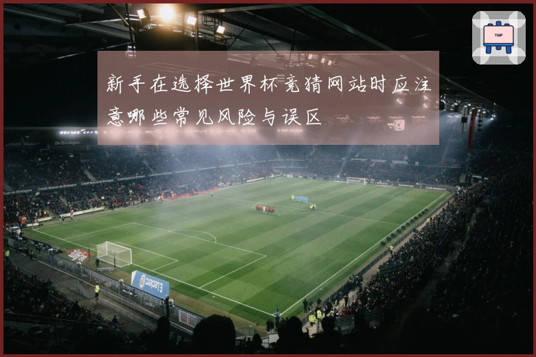 新手在选择世界杯竞猜网站时应注意哪些常见风险与误区
